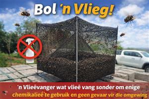 Organic Fly Catcher - Bol 'n Vlieg