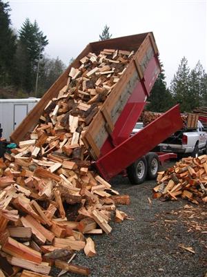 High grade burning Firewood for sale.