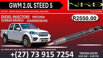 Repair GWM 2.0L Delphi Steed 5 