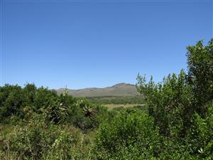 Sustainable Off The Grid Living