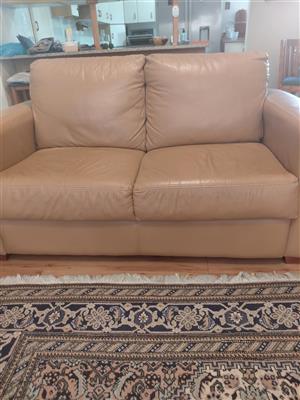 Grafton Everest Genuine Leather 2 seater couch.