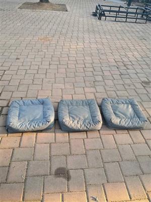 Dog beds