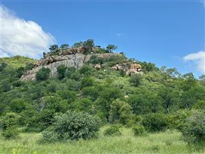 Big 5 game farm with extensive traversing