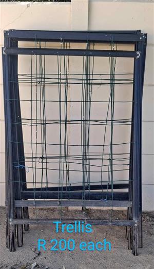 Garden Trellis 