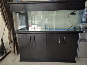 5-foot marine tank