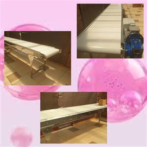 “Food‑grade stainless conveyors, 0.5m, 220V, speed control, custom sizes availab