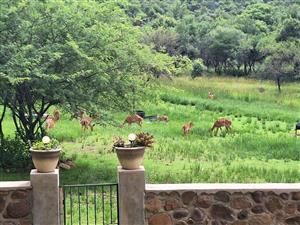 Farm For Sale in Modimolle Rural