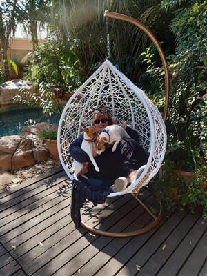 Hanging Chair In All Ads In South Africa Junk Mail