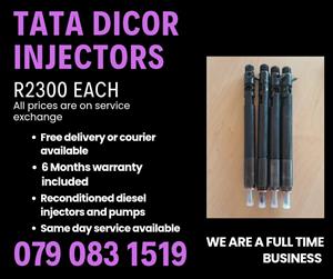 TATA DICOR 3.0 INJECTORS FOR SALE 