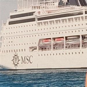 MSC Cruise Suite tickets for sale Feb 2020 Durban/Mosambique Islands   