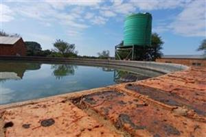 Farm For Sale in Bela Bela Rural