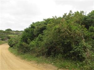 Vacant Stand For sale in Bathurst