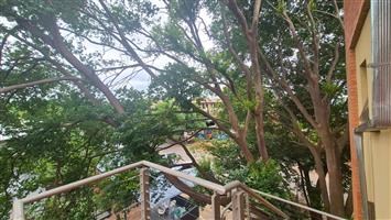 Spacious 1-Bedroom Loft Apartment in Prime Bult Location