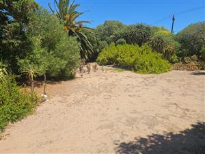 Exclusively Listed by Harcourts