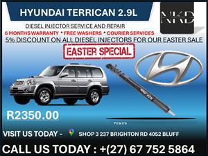 Hyundai Terrican 2.9L Diesel Injectors on recondition