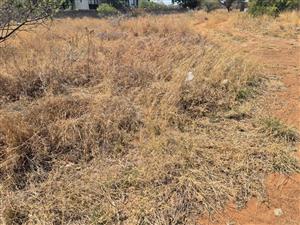 Discover Your Dream Oasis: Vacant Land for Sale in Bendor, Polokwane