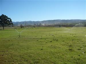 Smallholding in sought after Kruisrivier