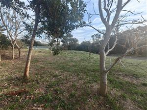 Prime Corner Vacant Stand in Sought-After Kelso Estate