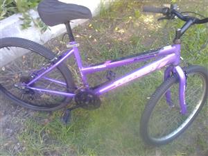 Mountain bike 