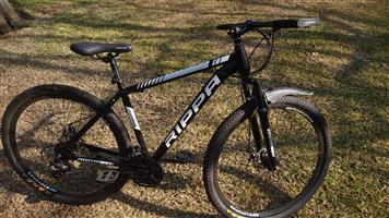 RIPPA bicycle 