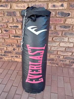 Everlast Nevatear heavy punching bag