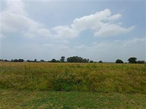 Design Your Own Picture Perfect Home On A Magnificent Piece Of Land. Close To Road.
