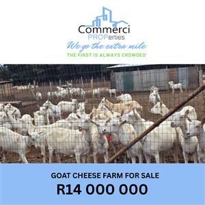 GOAT CHEESE FARM FOR