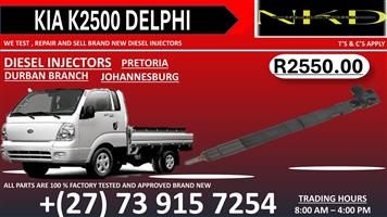 Diesel Injectors Kia K2500 Delphi On Service and Repair 