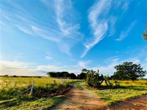 Farm For Sale in Pretoria North