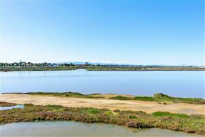 Stylish New-Build 3-Bedroom Living Across from the Berg River!