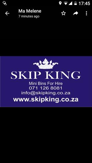 Mini skips