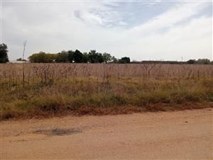 Vacant land in plots