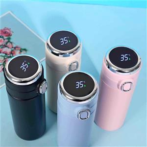 Smart Temperature Display Water Bottle