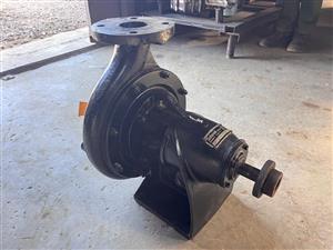 Salweir VEG65 Centrifugal Pump
