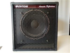 Polytone Acoustic Reflections Guitar Amp