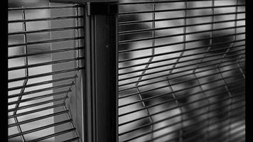 Fence Supplier