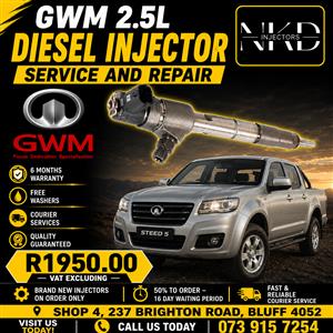 Repairs_GWM_2.5L_Injectors 