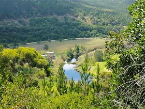 Farm For Sale in Sedgefield Central