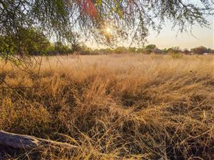 Vacant Land Residential For Sale in Modimolle
