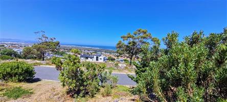 THE MAGNITUDE OF IT'S EXTENT...in a class of its own!