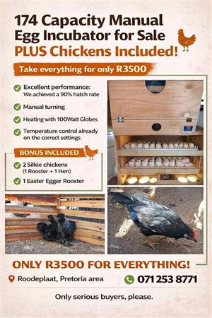 Incubator For Sale (comes with chickens)
