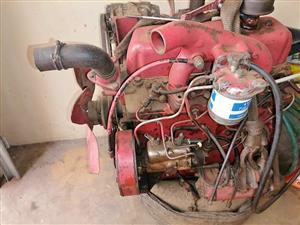 International 384 tractor ingine