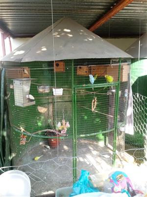 1.8 metre round cage available. Price not negotiable