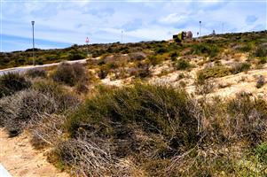 Plot in Steenbergs Cove @R399 000-00