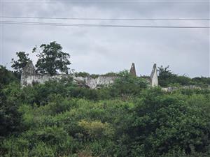 Your Peaceful 4.5-Hectare Countryside Haven