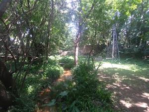 2099 Vacand Stand in Heidelberg Central