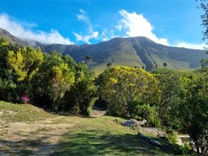 A lifestyle deep in the Tsitsikama set between Garden Route and Baviaanskloof