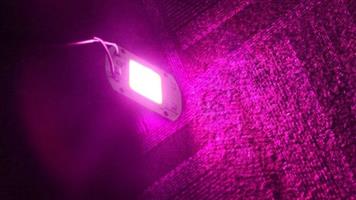 led grow lights pretoria