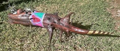 Root of Sickle Bush Home Decor