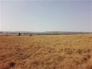 SMALLHOLDING BETWEEN ROLLING HILLSIDES FOR SALE – MOOIPLAATS